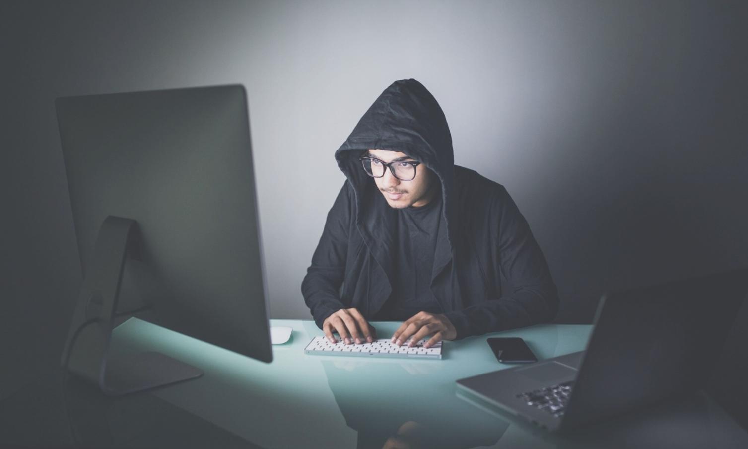 Команда Valoris Zen работает над новыми проектами